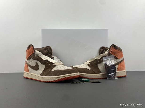 Cheap Husky Retro OG Jordan 3651 High 1 Clay Dusted SP Neat FQ2941- 1027